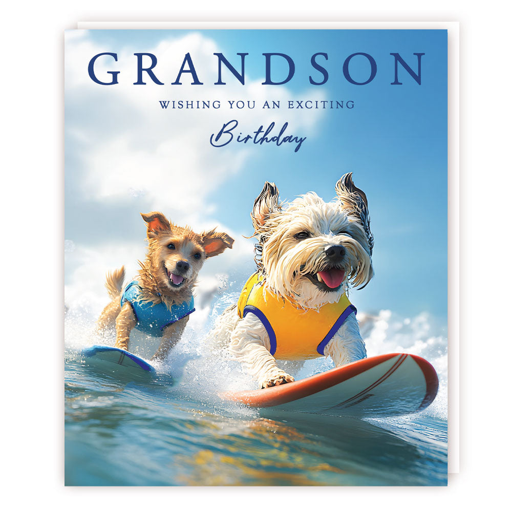 C3876 Grandson